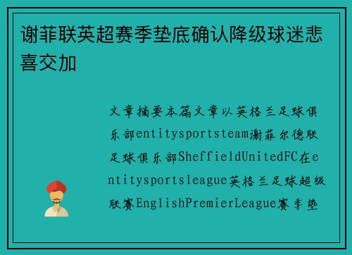 谢菲联英超赛季垫底确认降级球迷悲喜交加